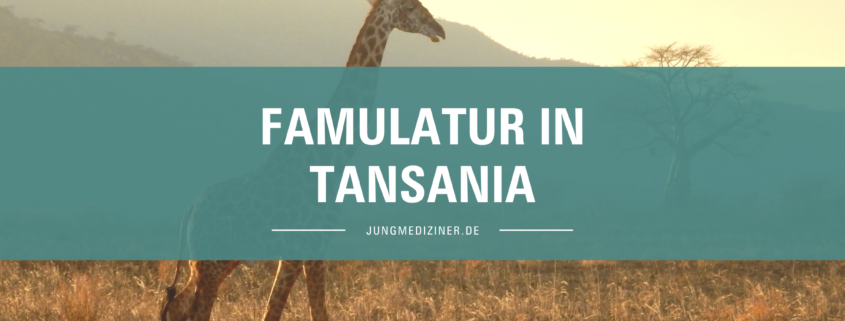 Mein Weg in den Busch - Famulatur in Tansania