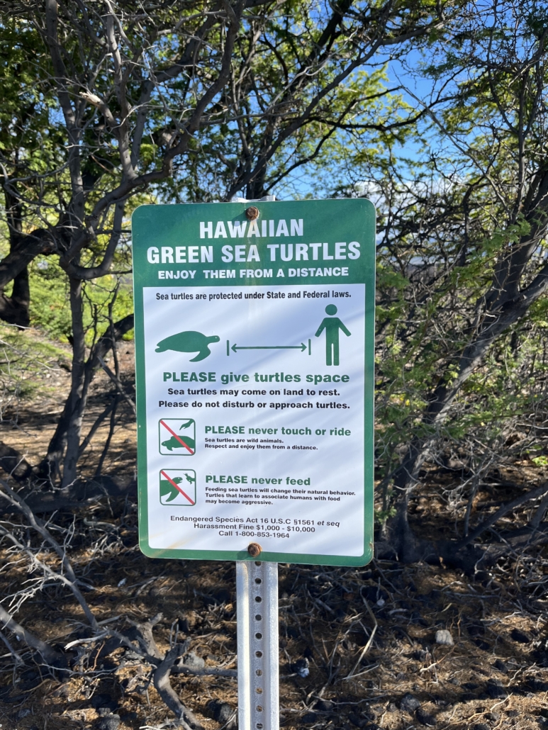 Schild mit Aufforderung zur Wahrung des Sicherheitsabstandes von Schildkröten