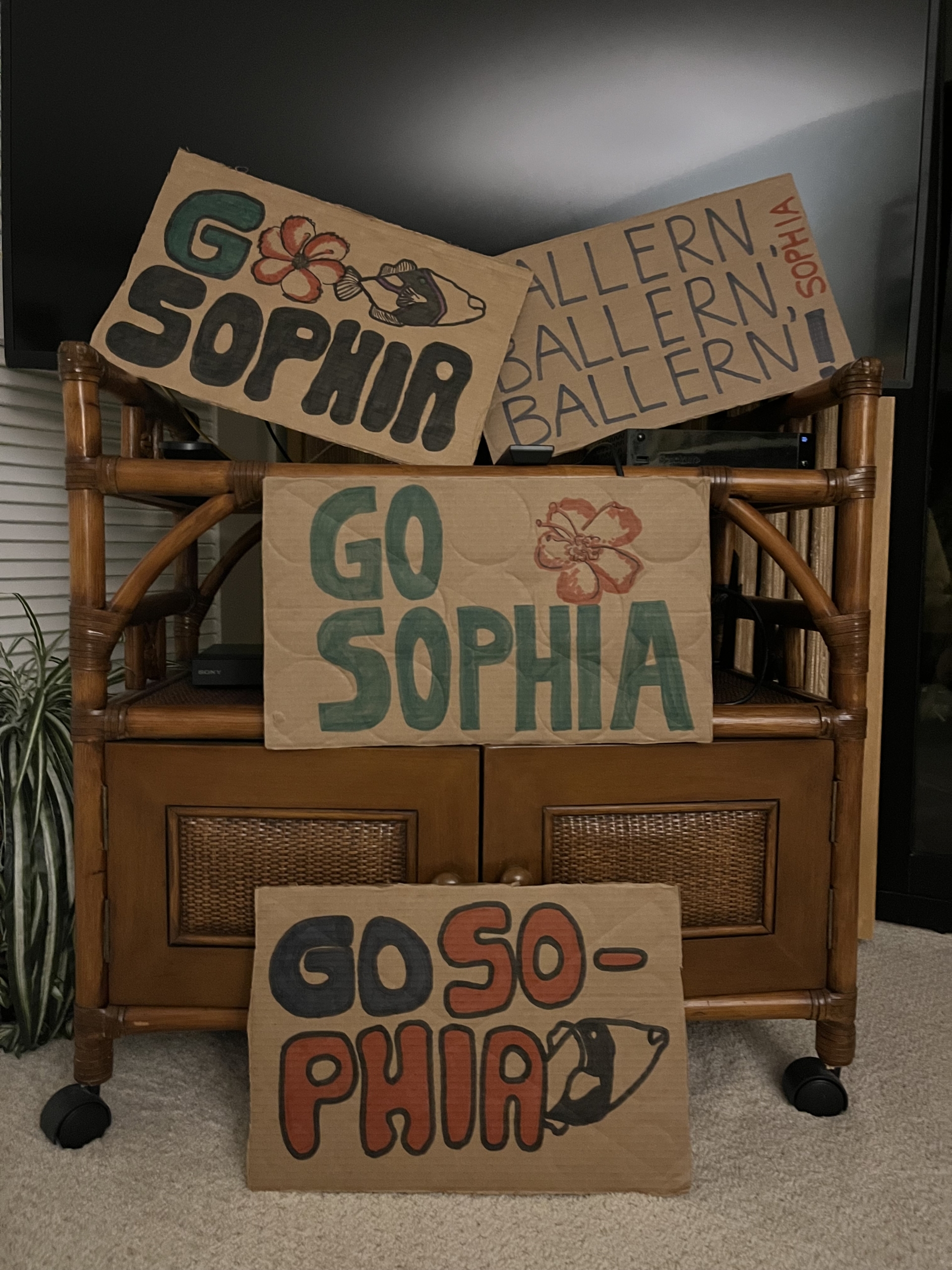 Schilder zum Anfeuern von Sophia mit der Aufschrift: Go Sophia