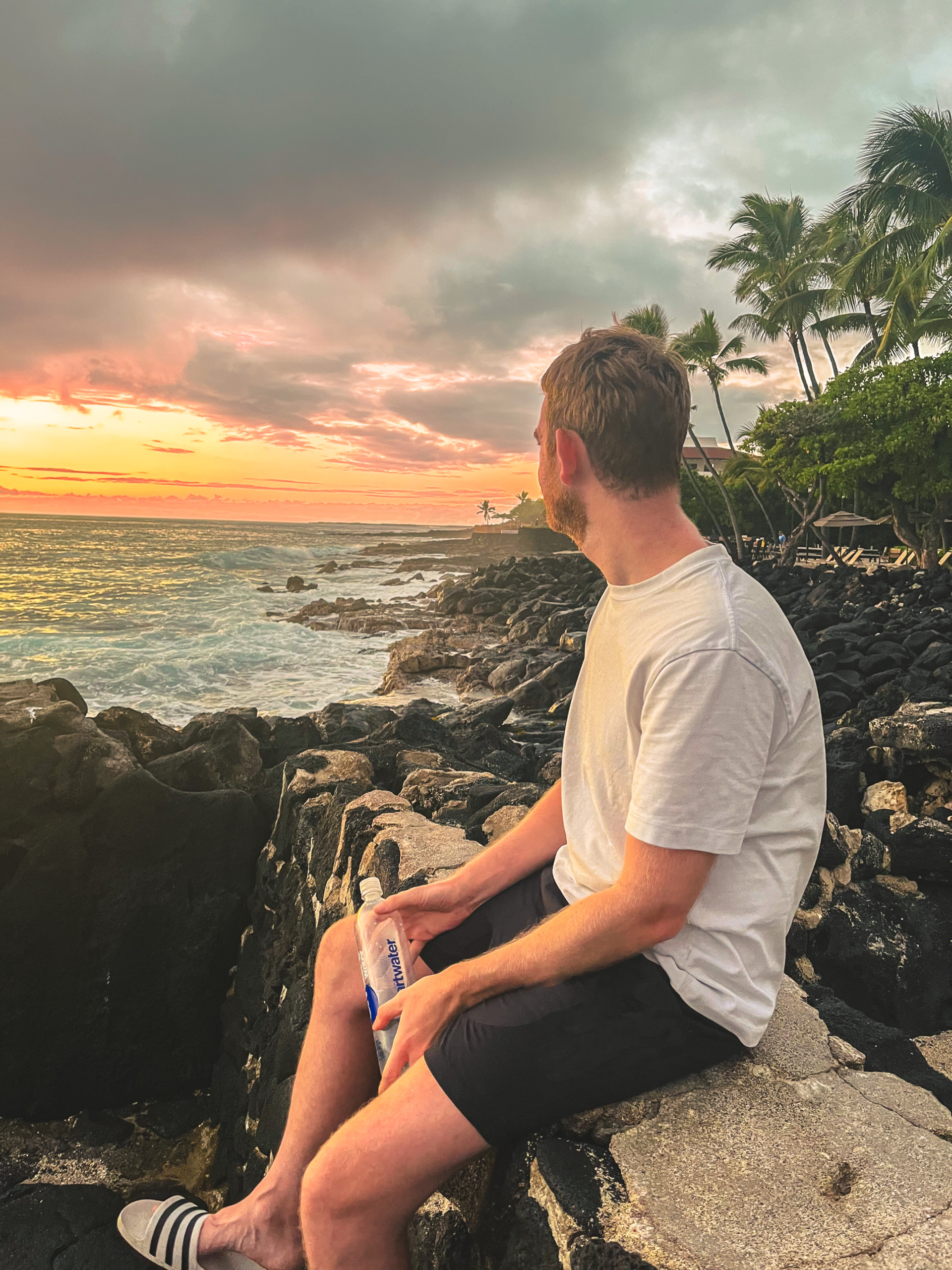 Marvin auf einer Mauer bei Sonnenuntergang in Hawaii