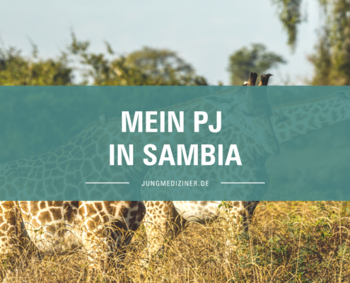 Mein PJ in Sambia