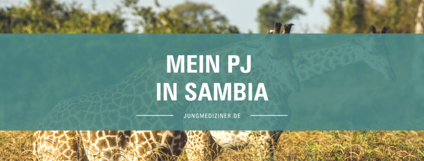 Mein PJ in Sambia